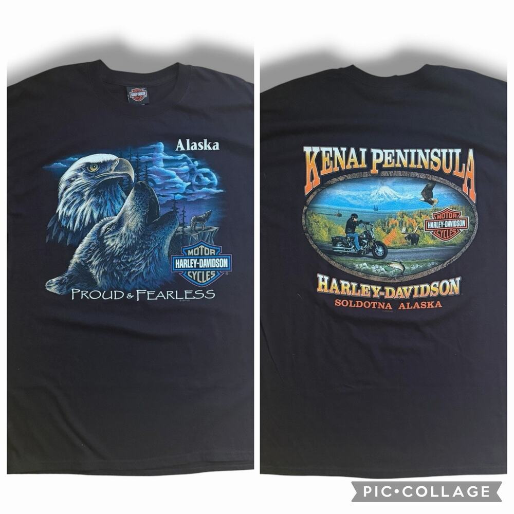 Vintage 1997 Harley Davidson Proud & Fearless Kenai Alaska Black T Shirt Sz XL